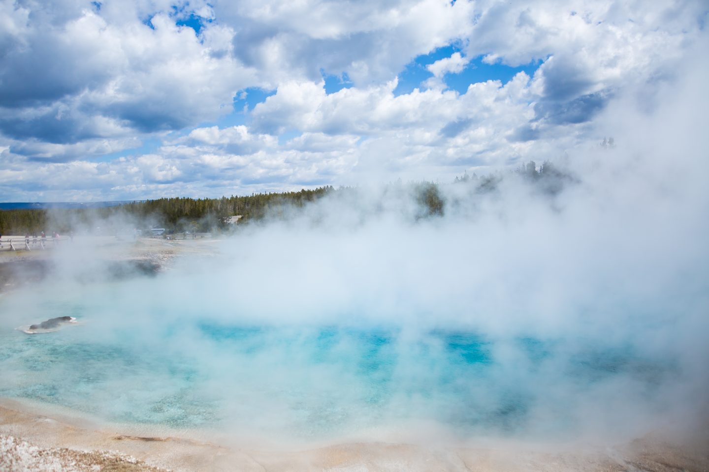 Ho Spring Yellowstone National Park