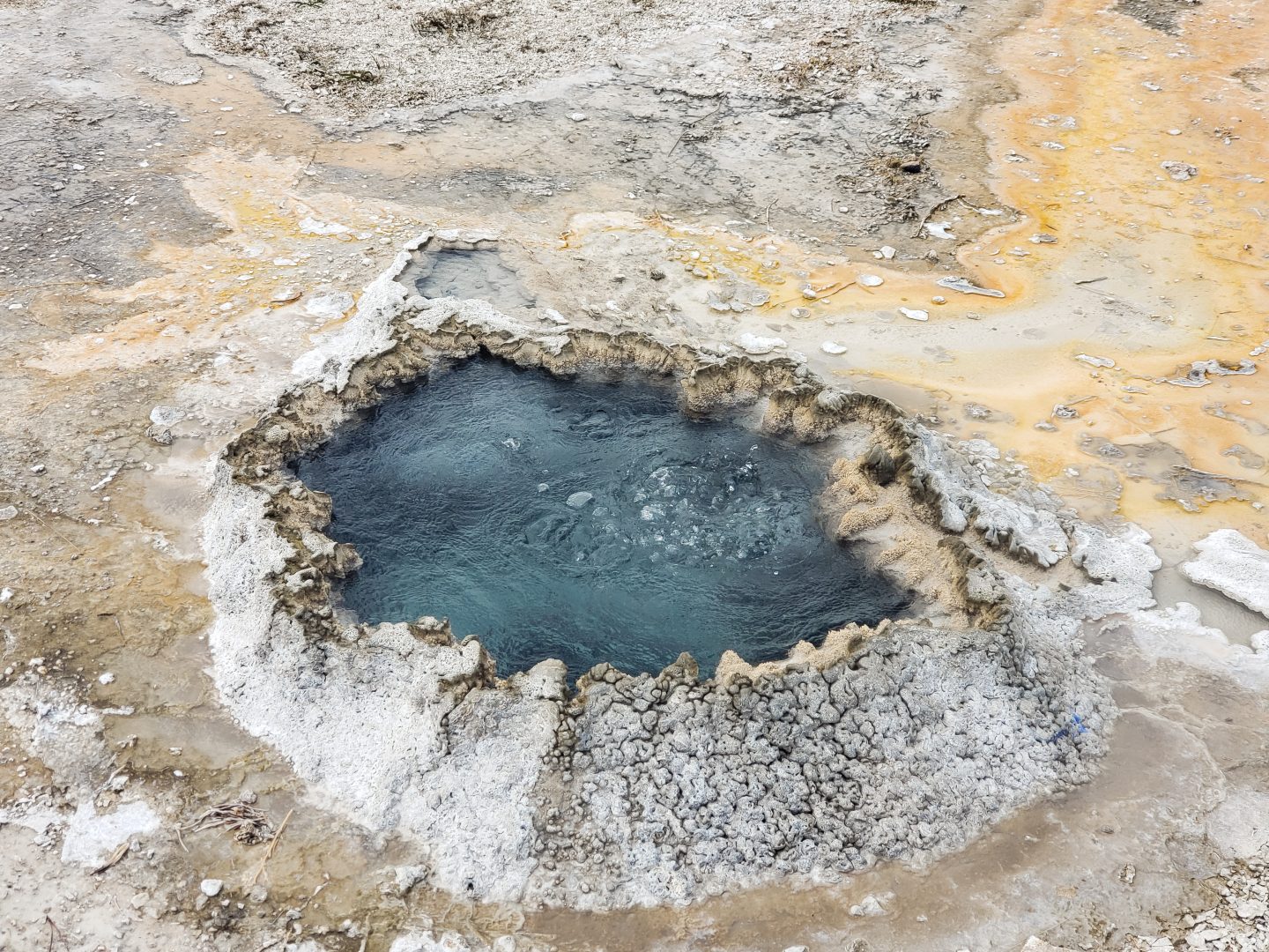 Hot Spring Yellowstone